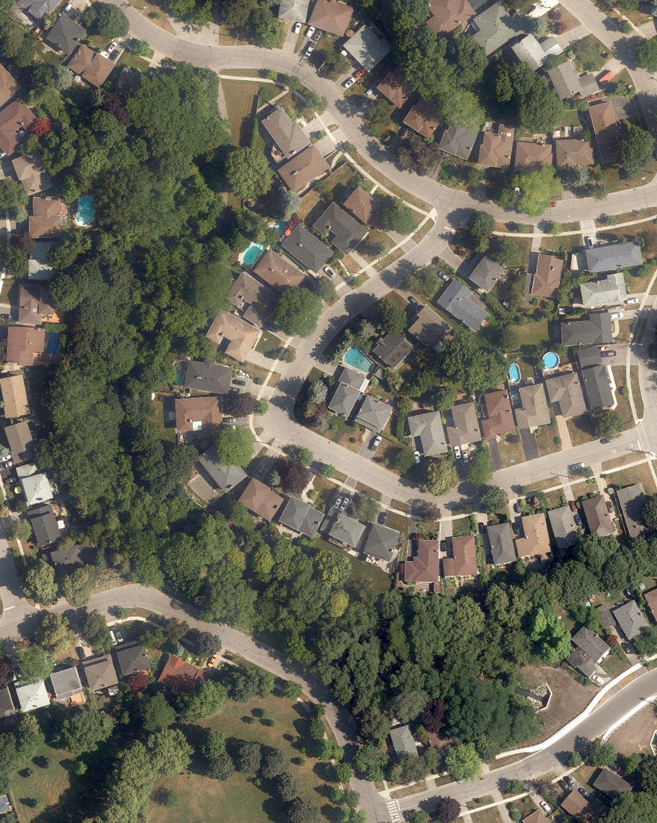 West Highland Creek Watercourse — site photograph