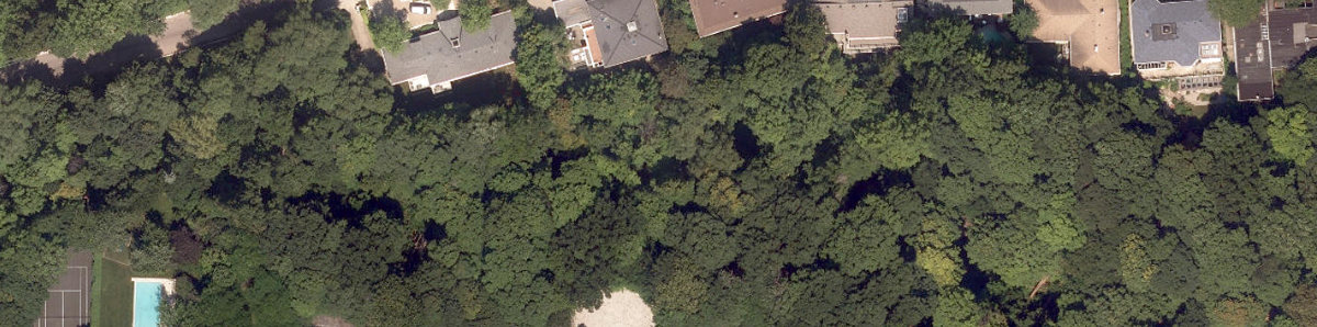 City Wide Open Space — site photograph