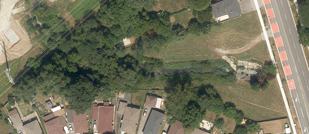 West Highland Creek Watercourse — site photograph