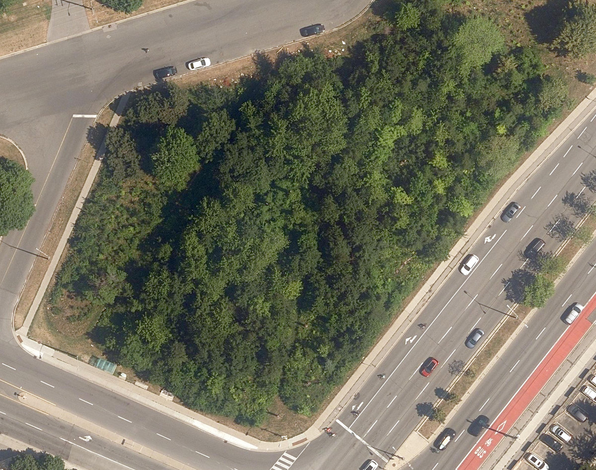 City Wide Open Space — site photograph