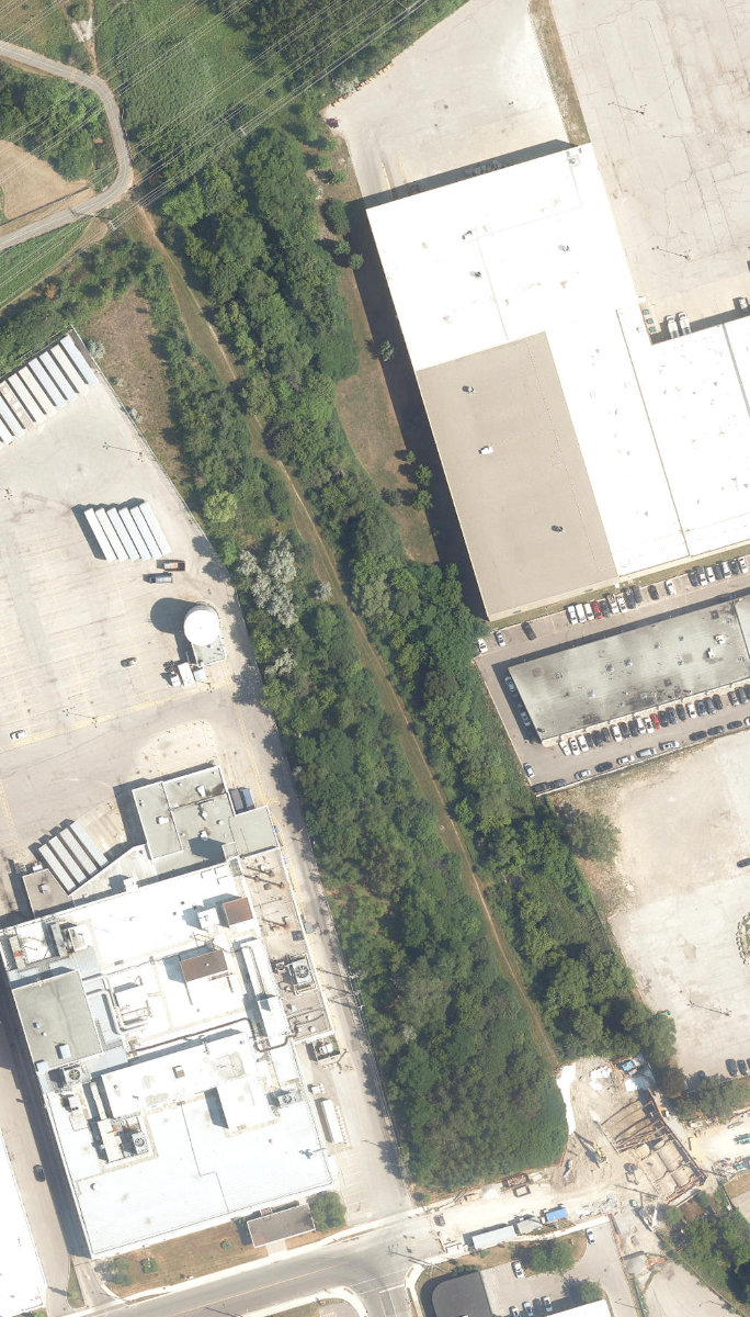 Massey Creek Ravine — site photograph
