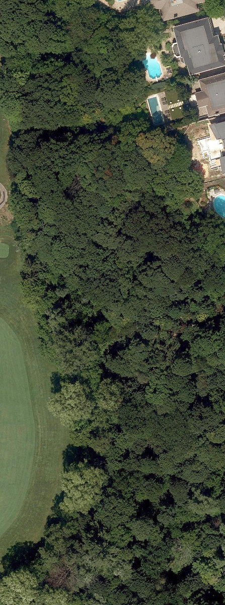 City Wide Open Space — site photograph