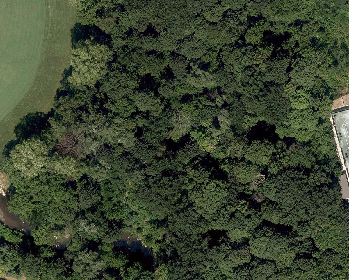 City Wide Open Space — site photograph