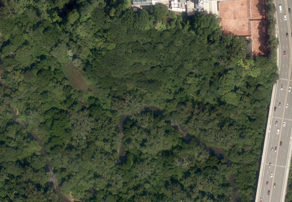 City Wide Open Space — site photograph