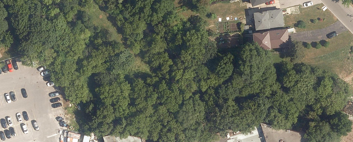 Massey Creek Ravine — site photograph