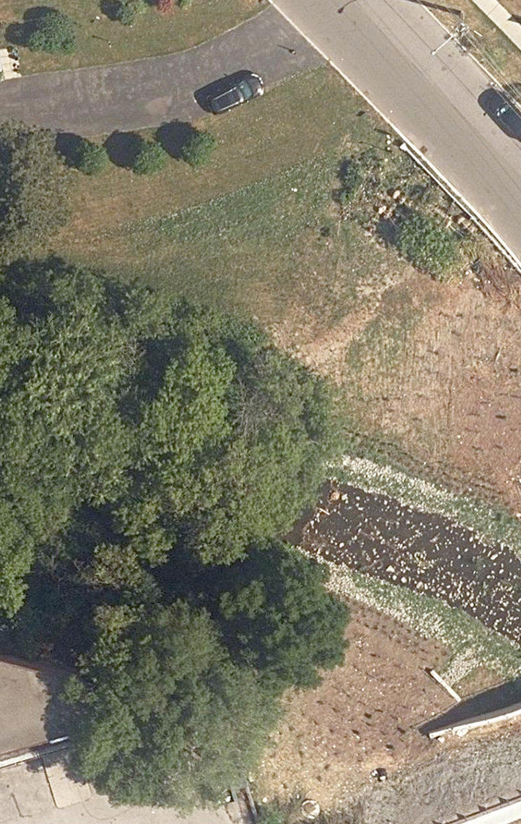 Massey Creek Ravine — site photograph