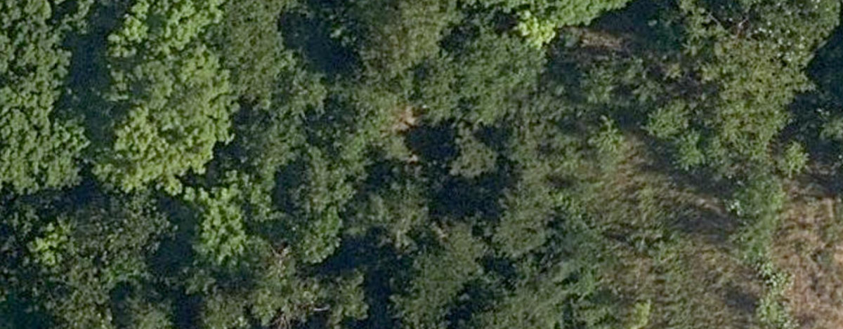 Charles Sauriol Conservation Area — site photograph