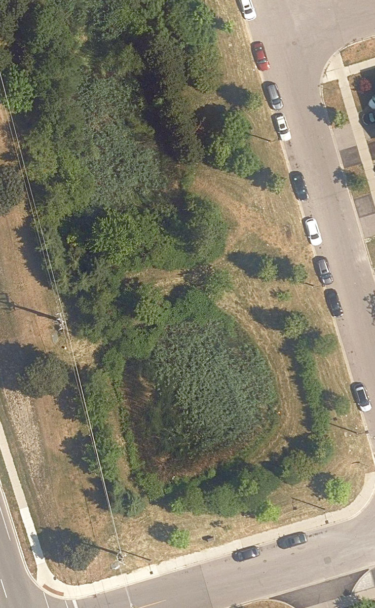 City Wide Open Space — site photograph