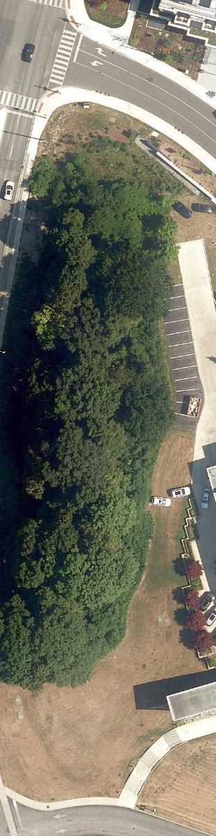 City Wide Open Space — site photograph