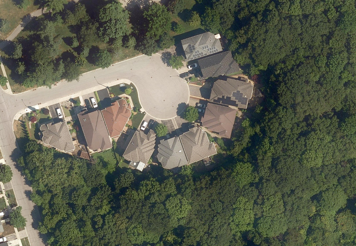 Warden Woods — site photograph