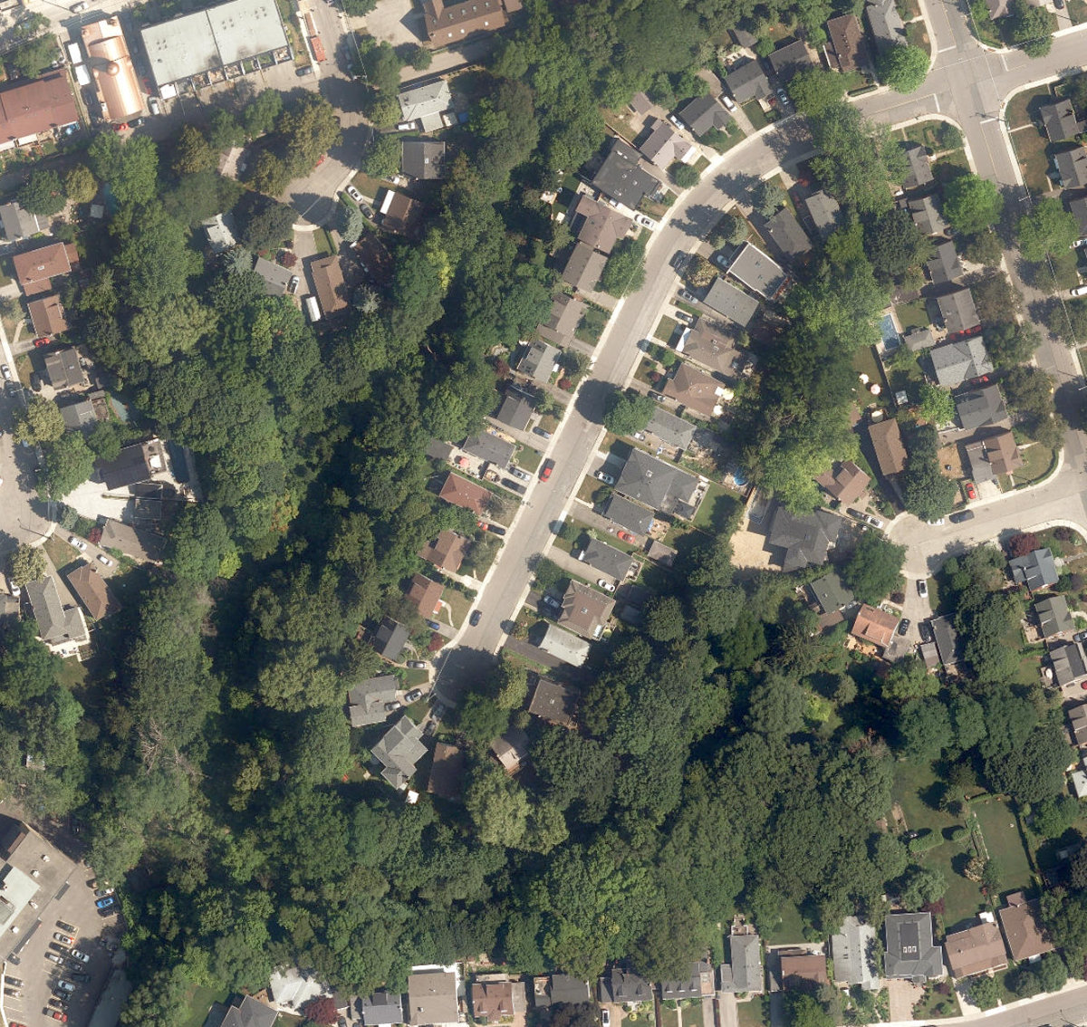 City Wide Open Space — site photograph