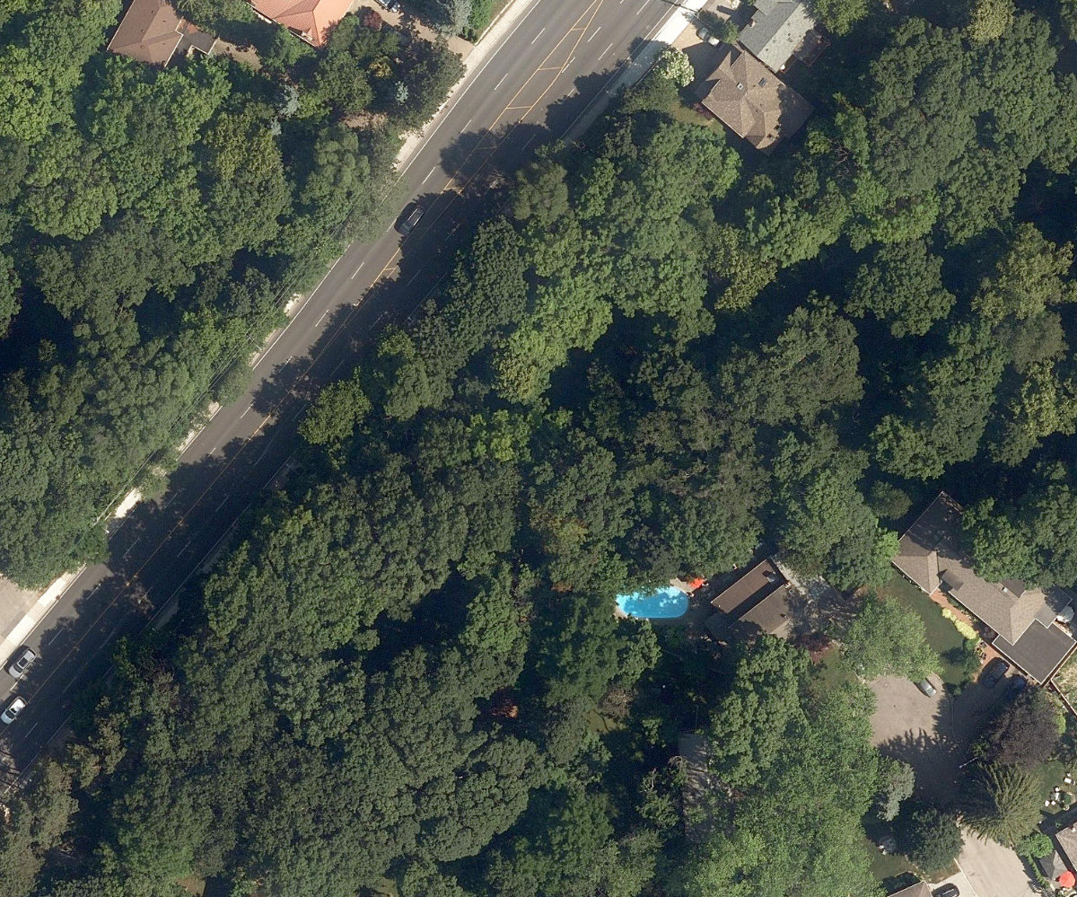 Taylor Creek Ravine — site photograph