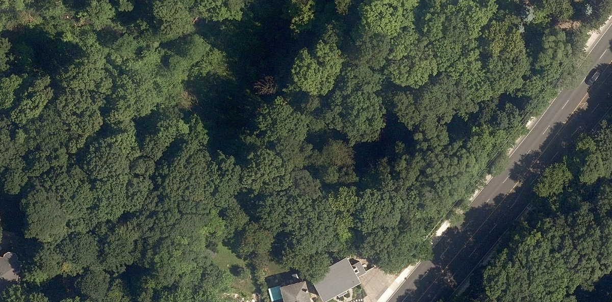 Taylor Creek Ravine — site photograph