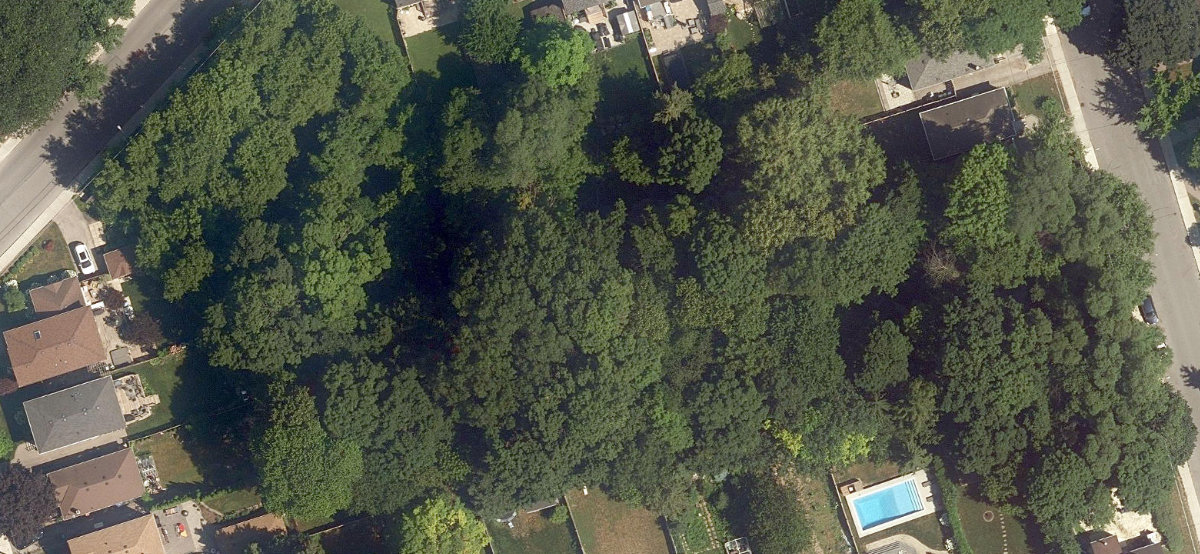 City Wide Open Space — site photograph