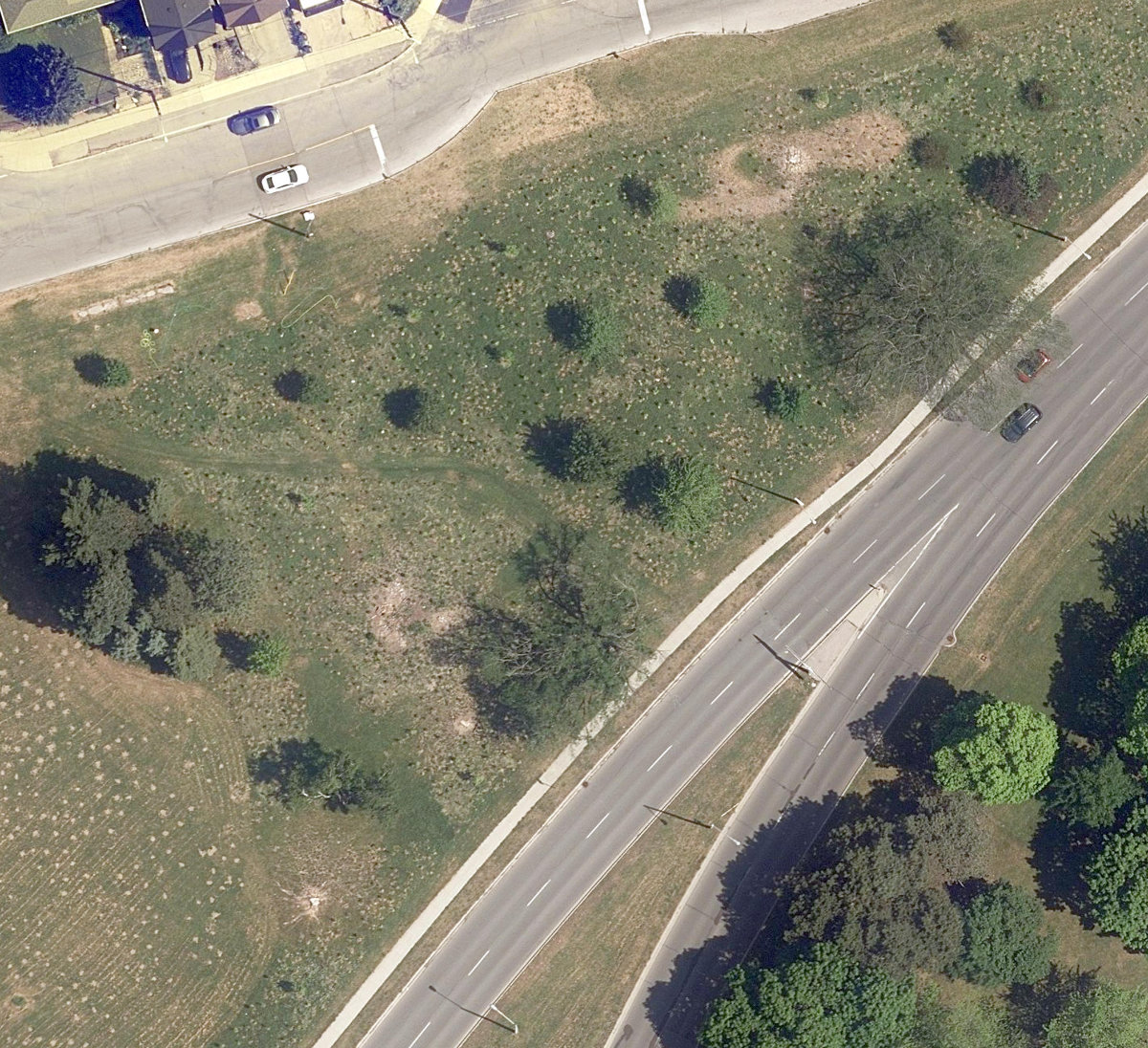 Cenotaph Traffic Island — site photograph
