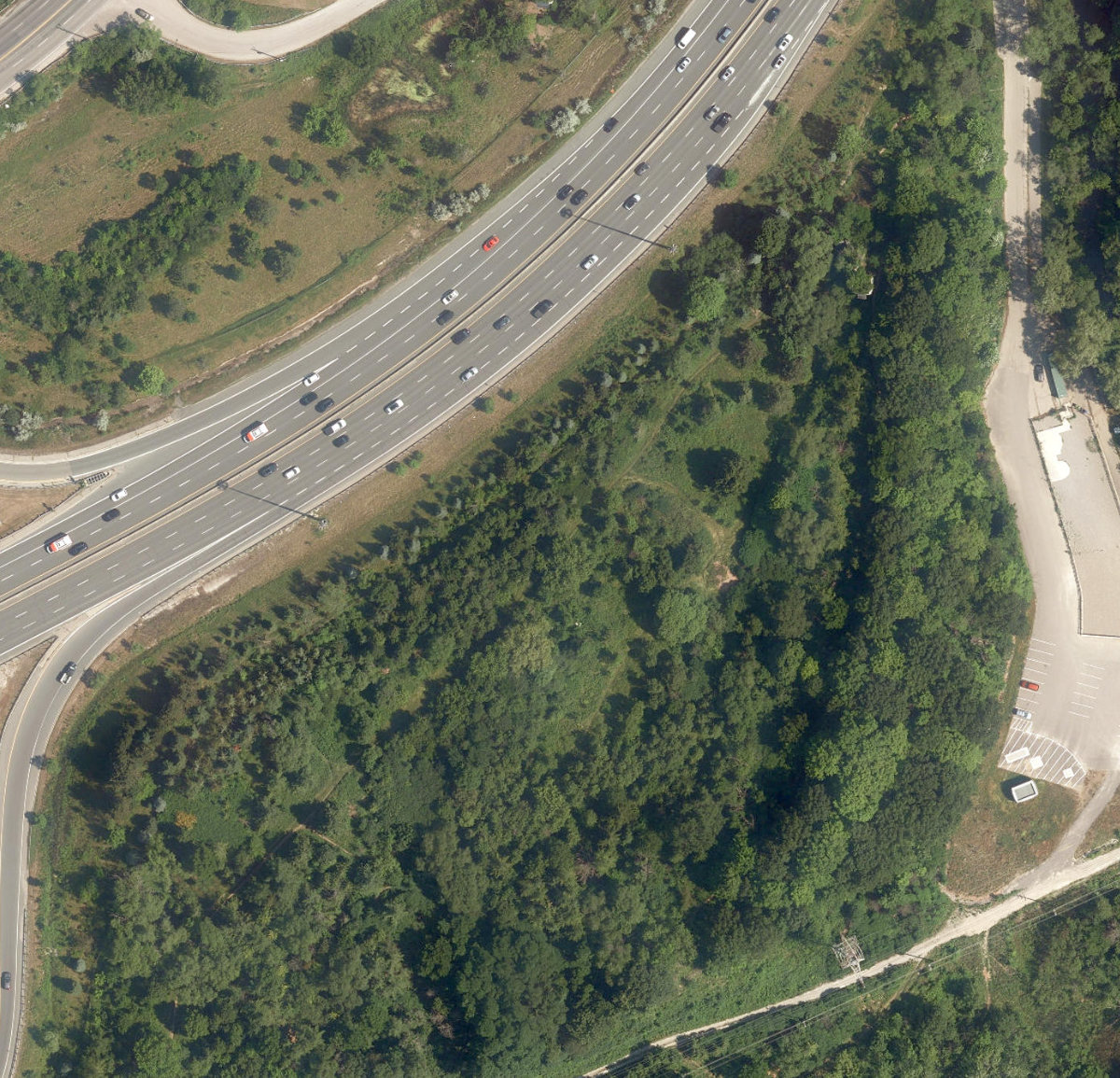 Taylor Creek Park — site photograph