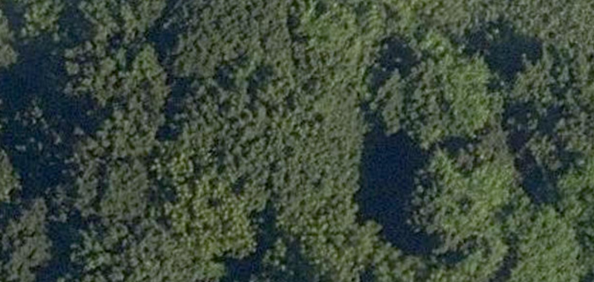 City Wide Open Space — site photograph