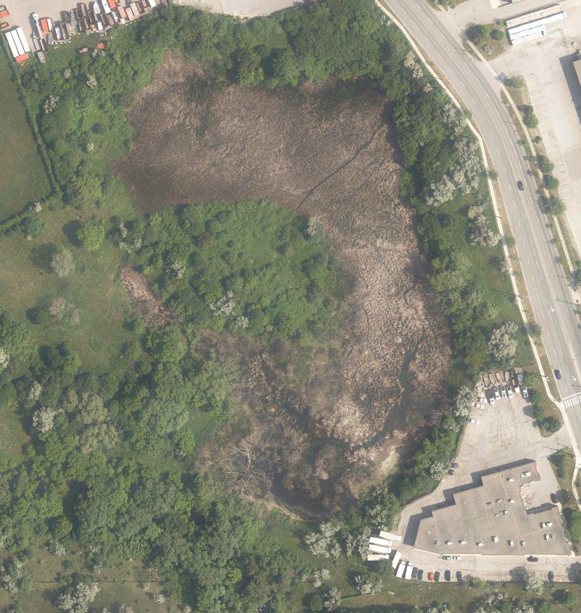 Attwell Drive Parkland — site photograph