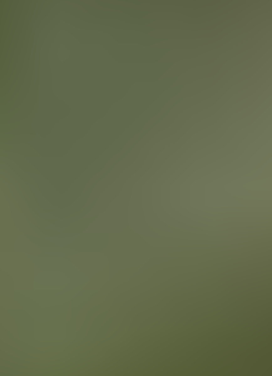 Humber River Watercourse — site photograph