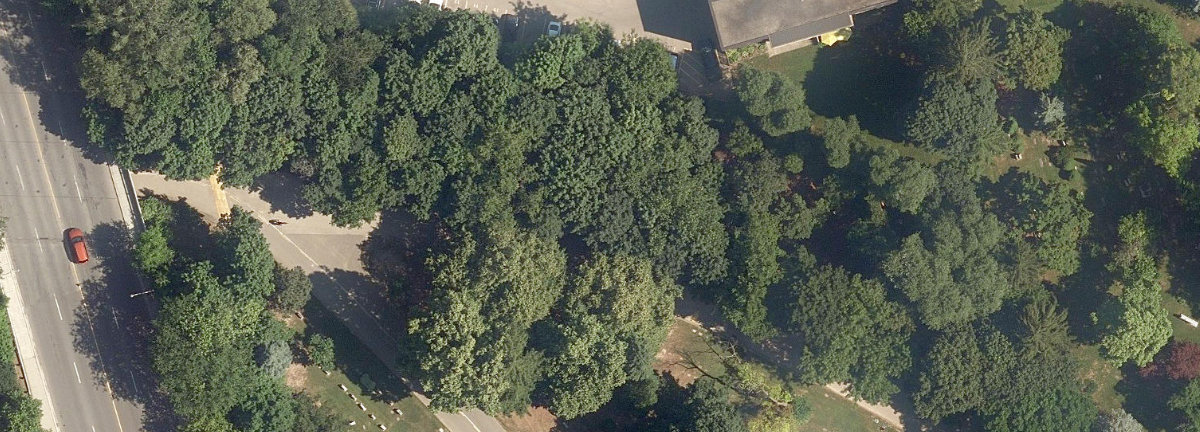 City Wide Open Space — site photograph