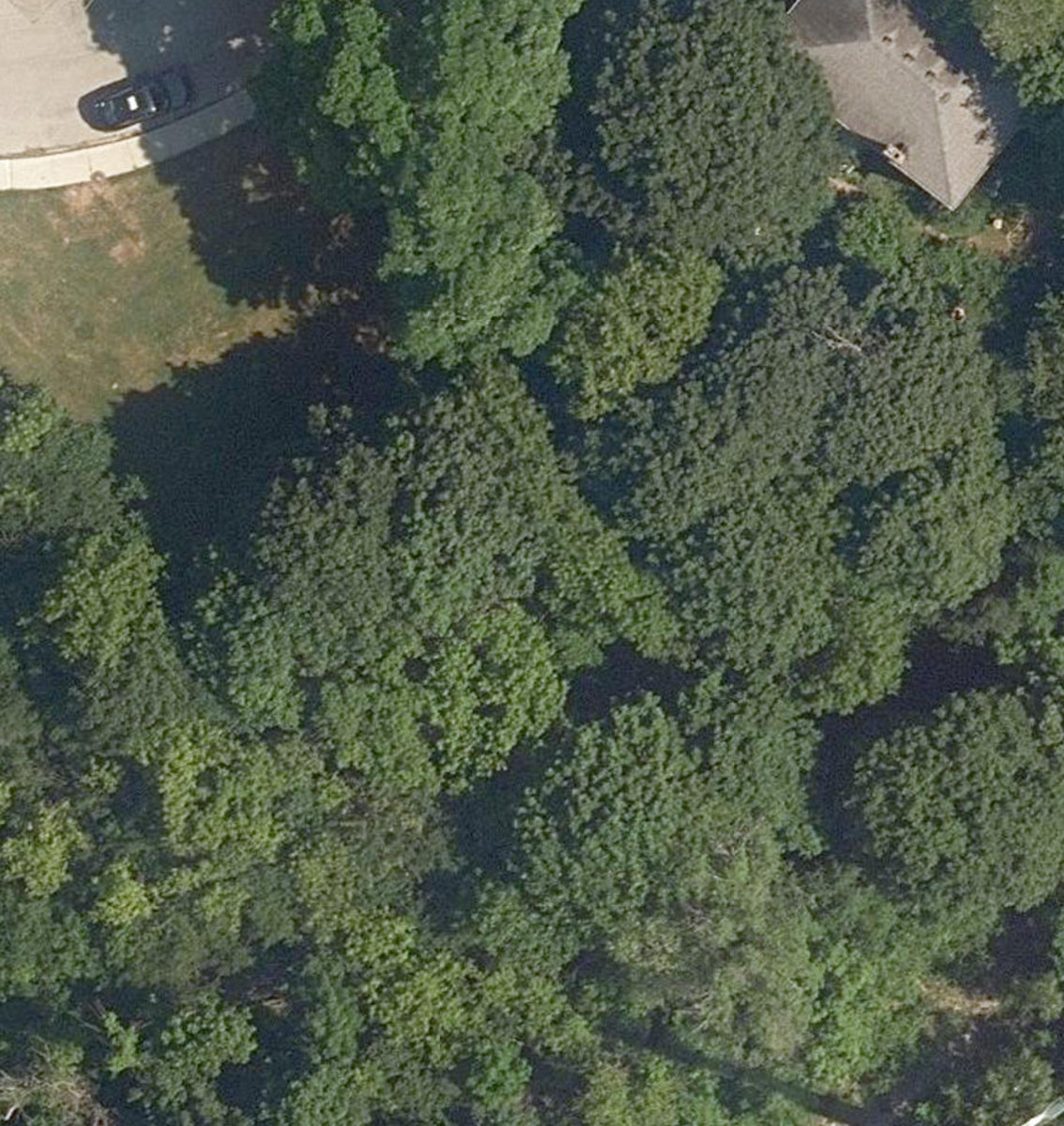 City Wide Open Space — site photograph