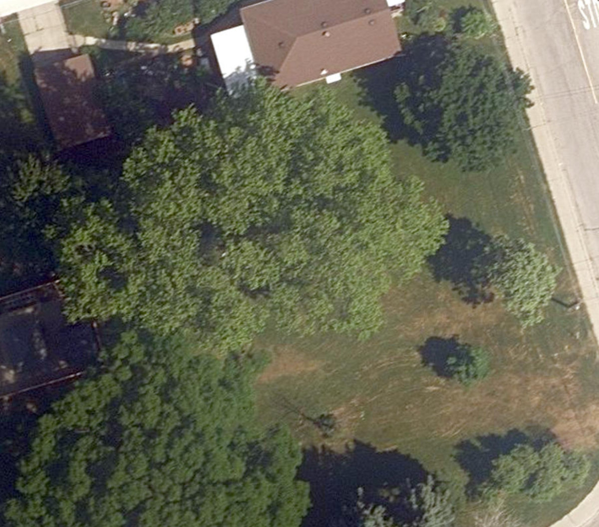 City Wide Open Space — site photograph