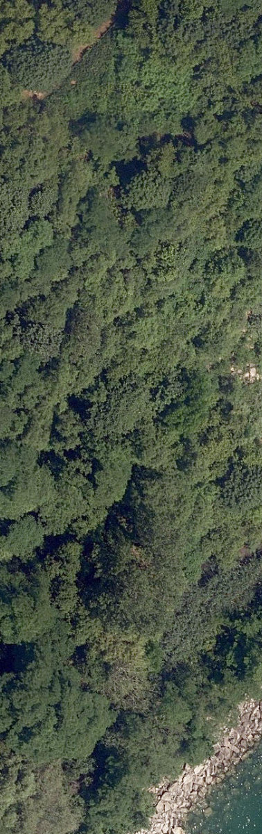 Lakefront Open Lands — site photograph
