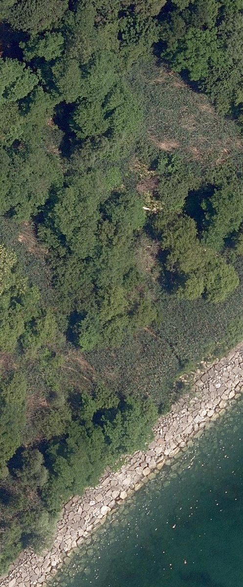 Lakefront Open Lands — site photograph