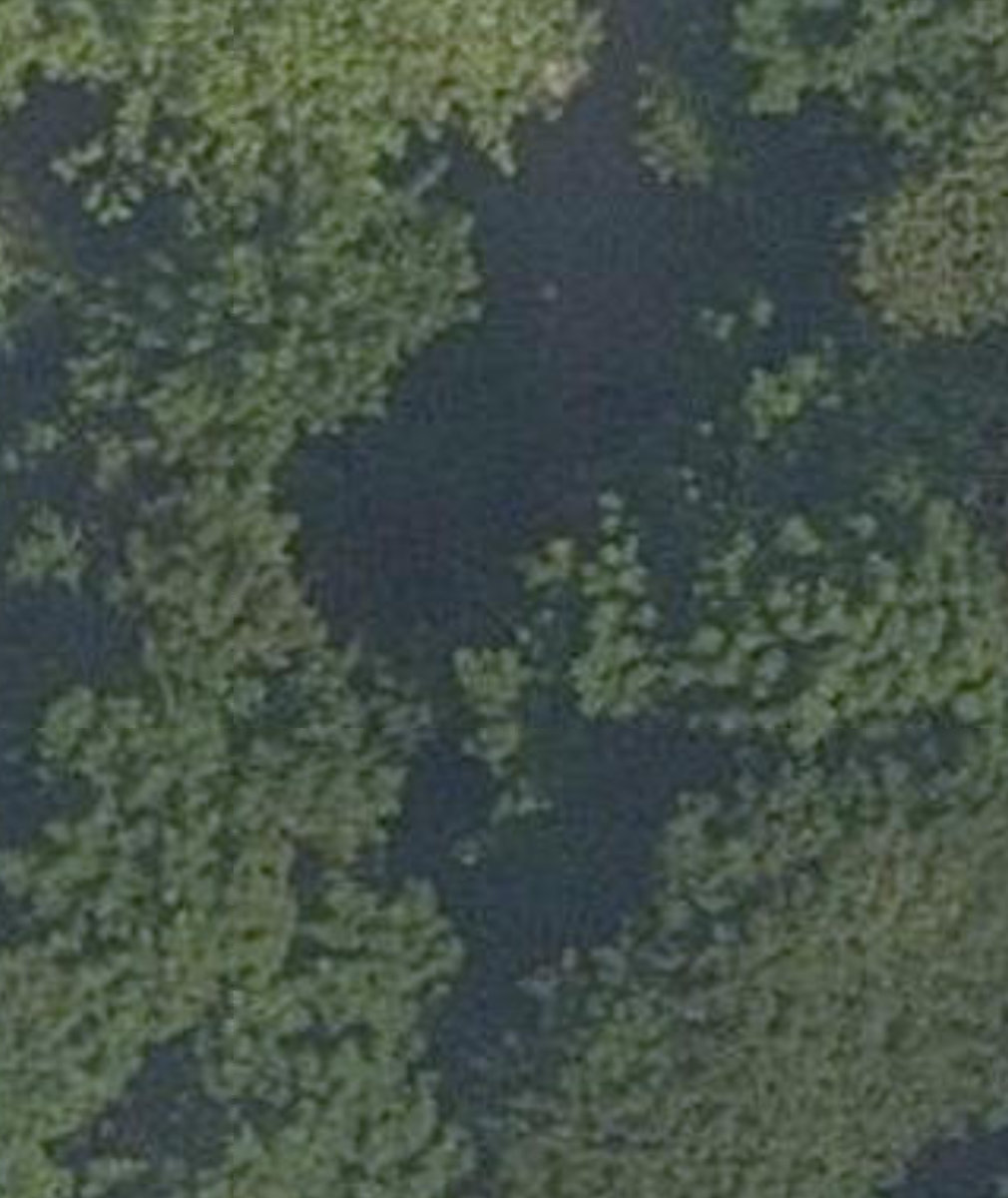 Nordheimer Ravine — site photograph