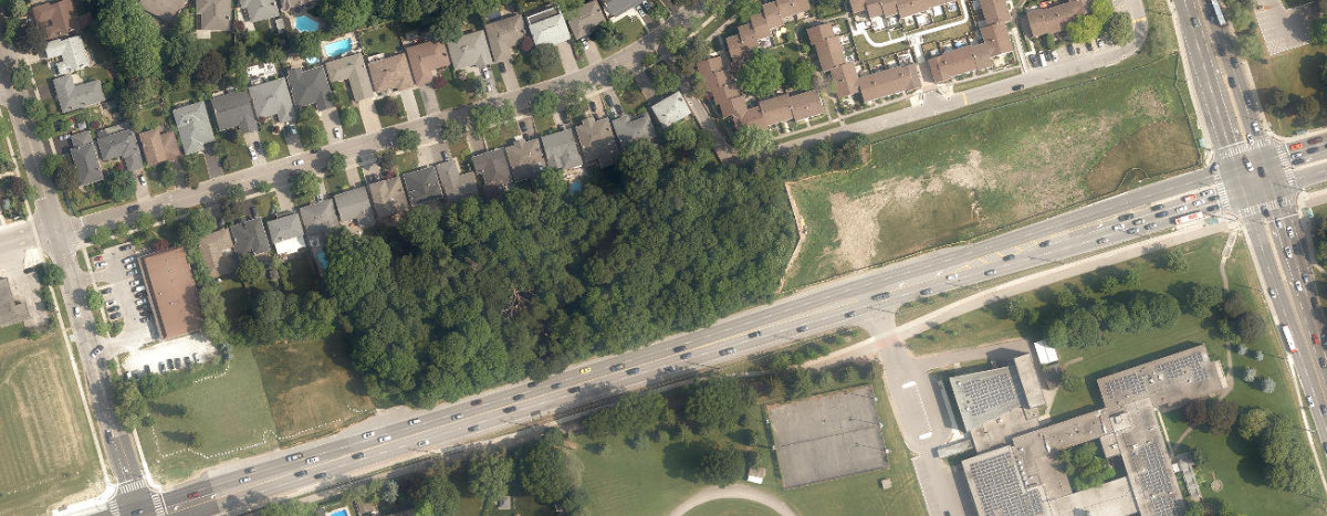 City Wide Open Space — site photograph