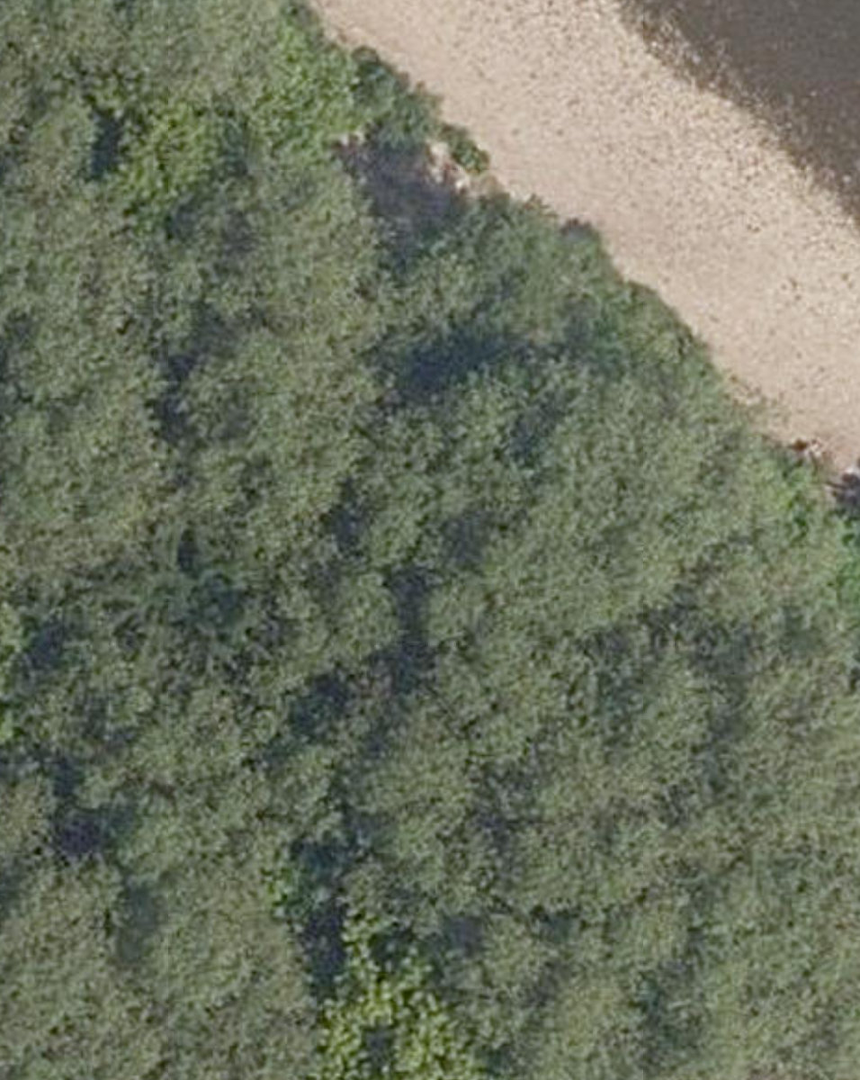 Lower Don Parklands — site photograph