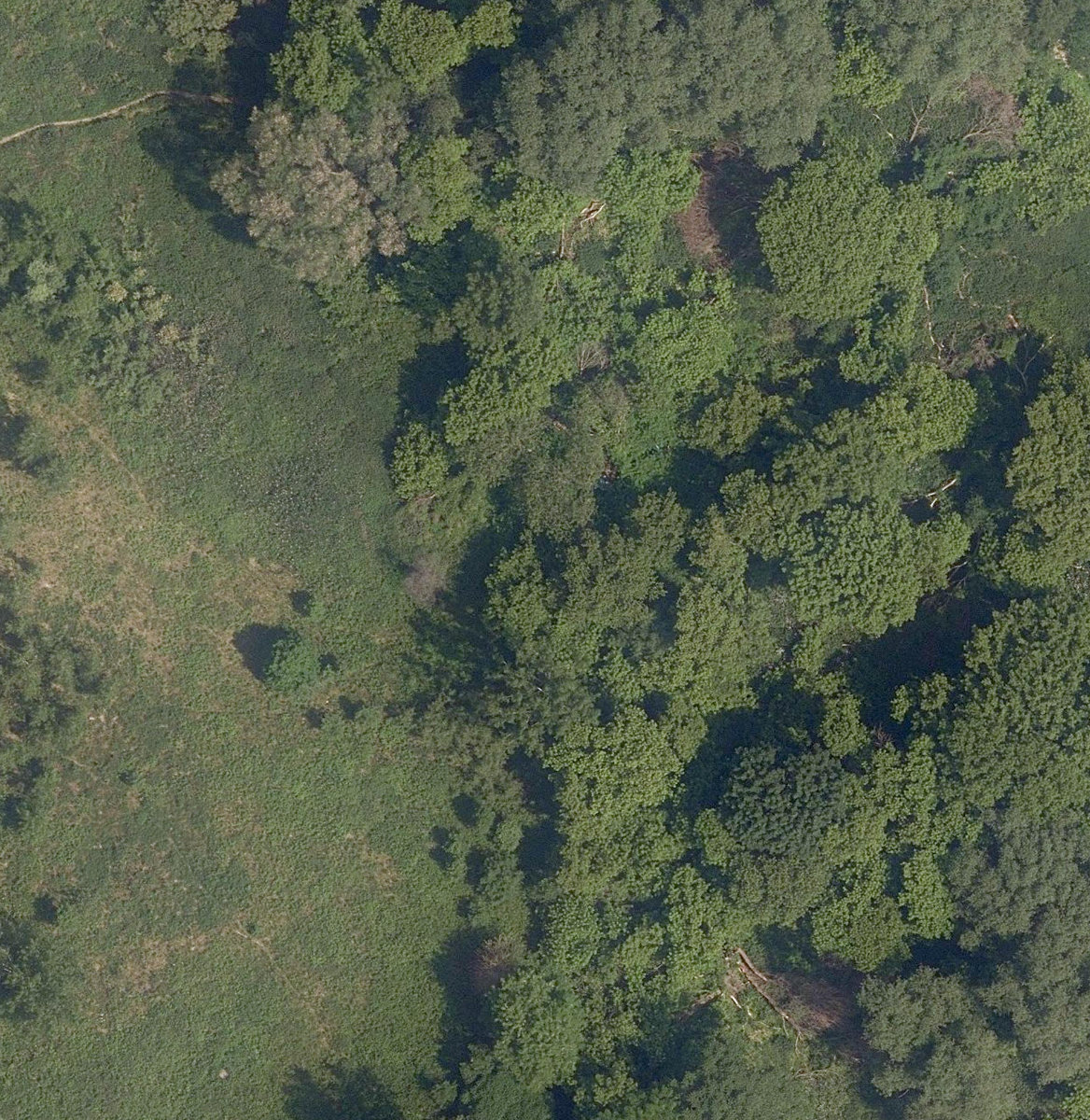Lower Don Parklands — site photograph