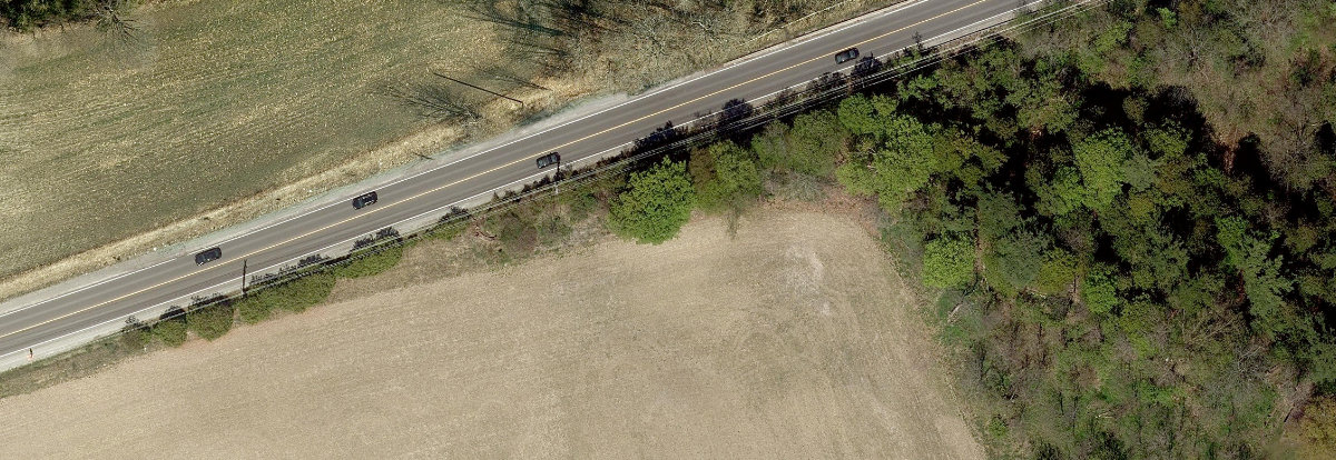 Rouge Park — site photograph