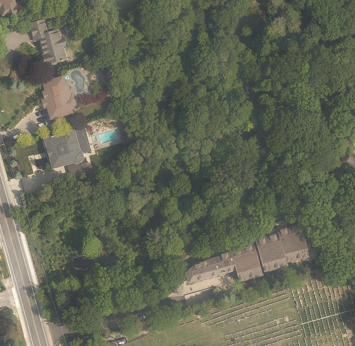 Humber River Watercourse — site photograph