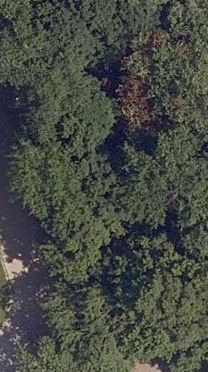 City Wide Open Space — site photograph