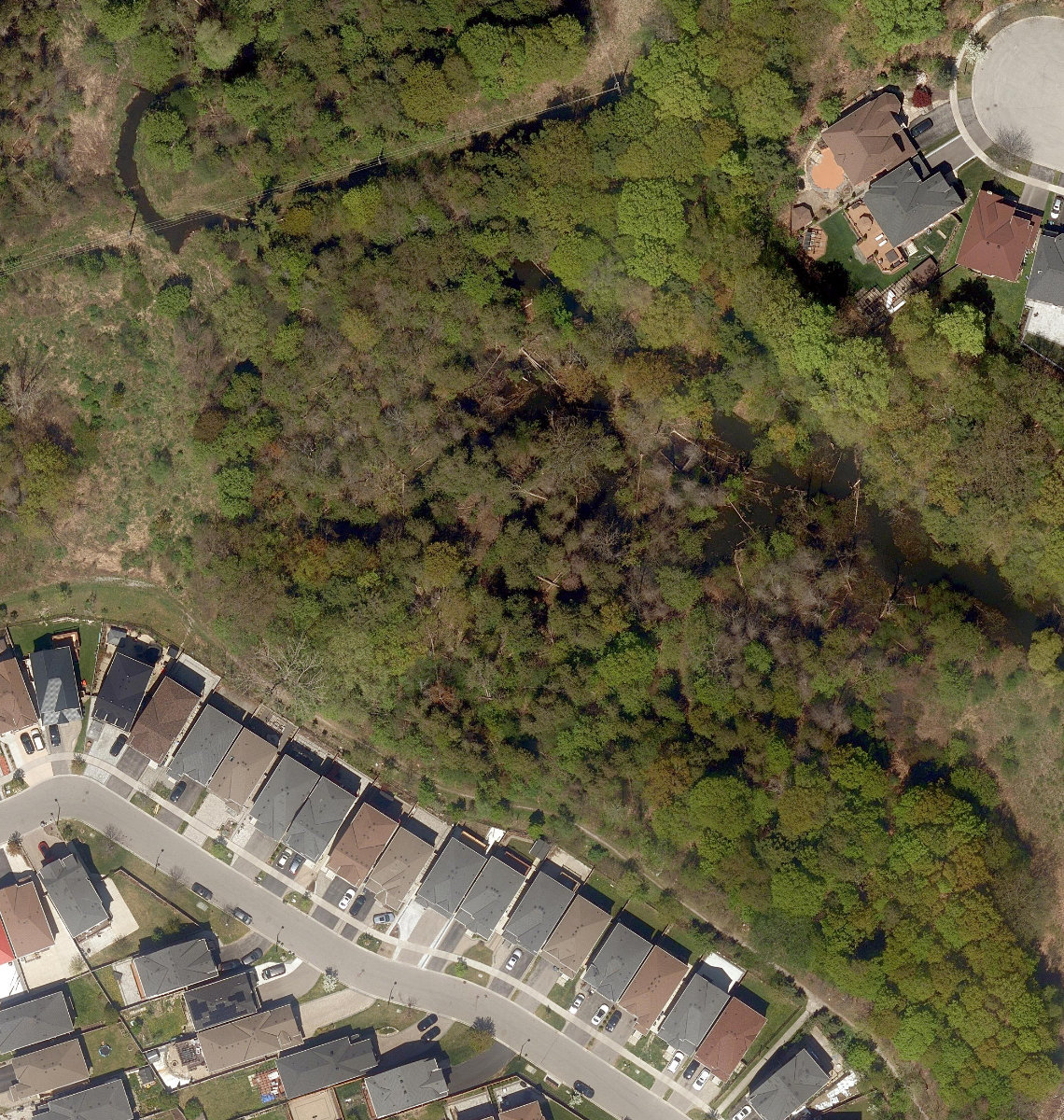 Rouge River Watercourse — site photograph