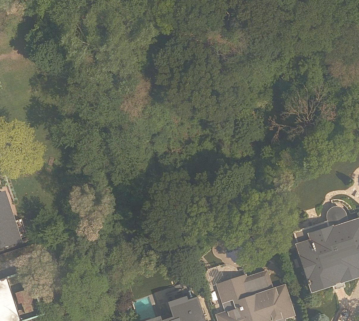 City Wide Open Space — site photograph