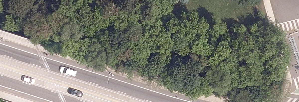 City Wide Open Space — site photograph