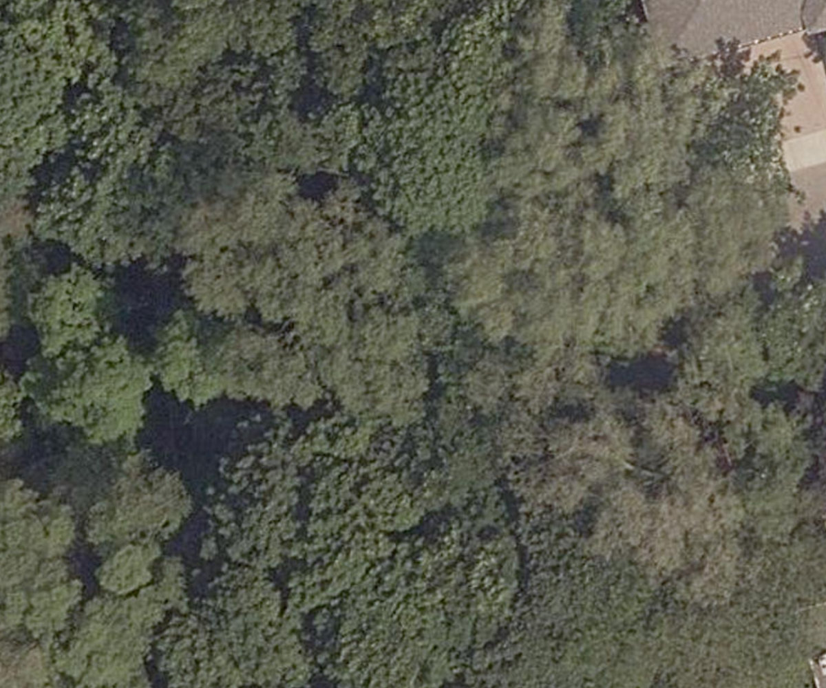 Waller Avenue Ravine Lands — site photograph