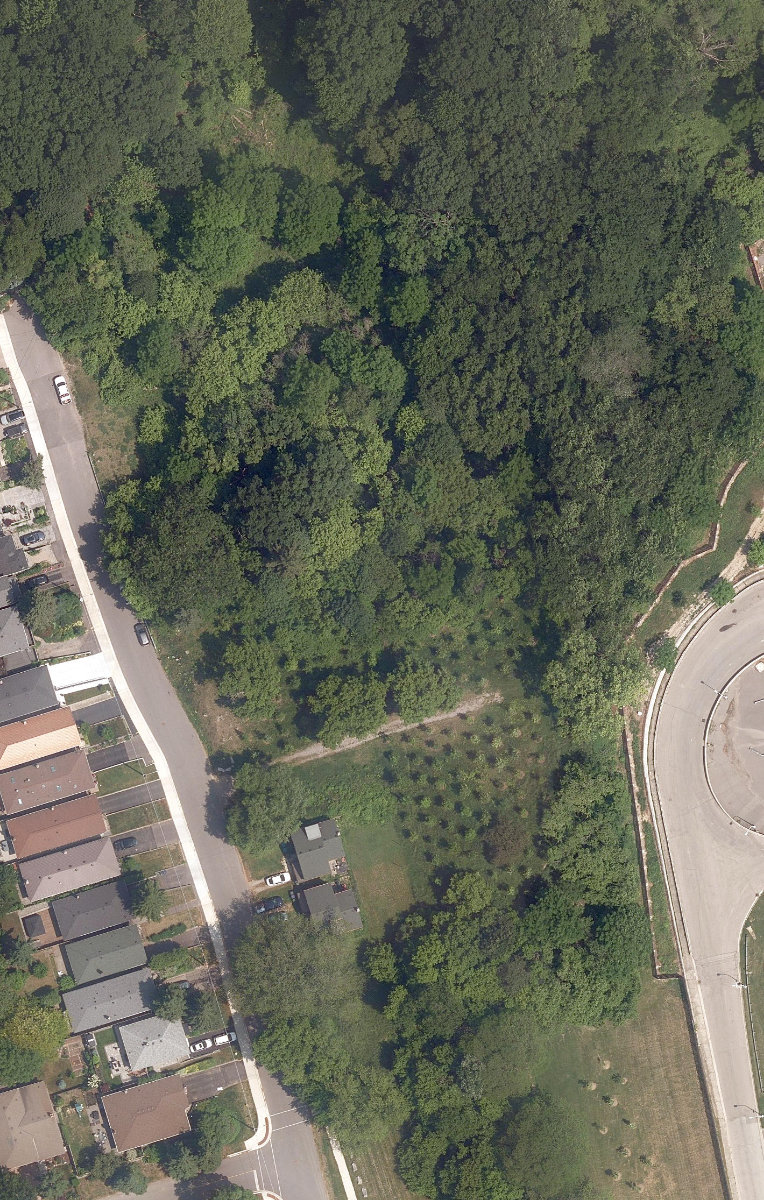 City Wide Open Space — site photograph