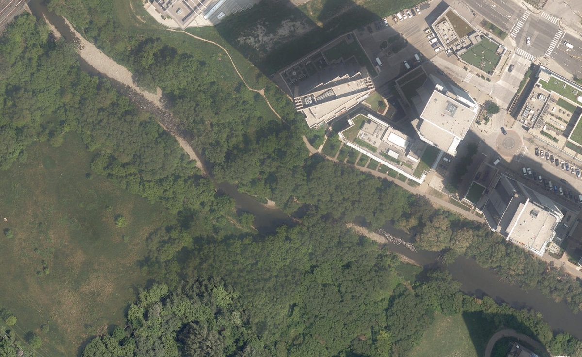 Mimico Creek Ravine — site photograph