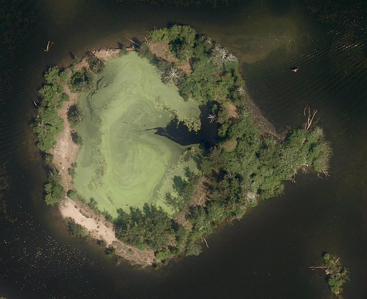 Toronto Islands - Island Park — site photograph