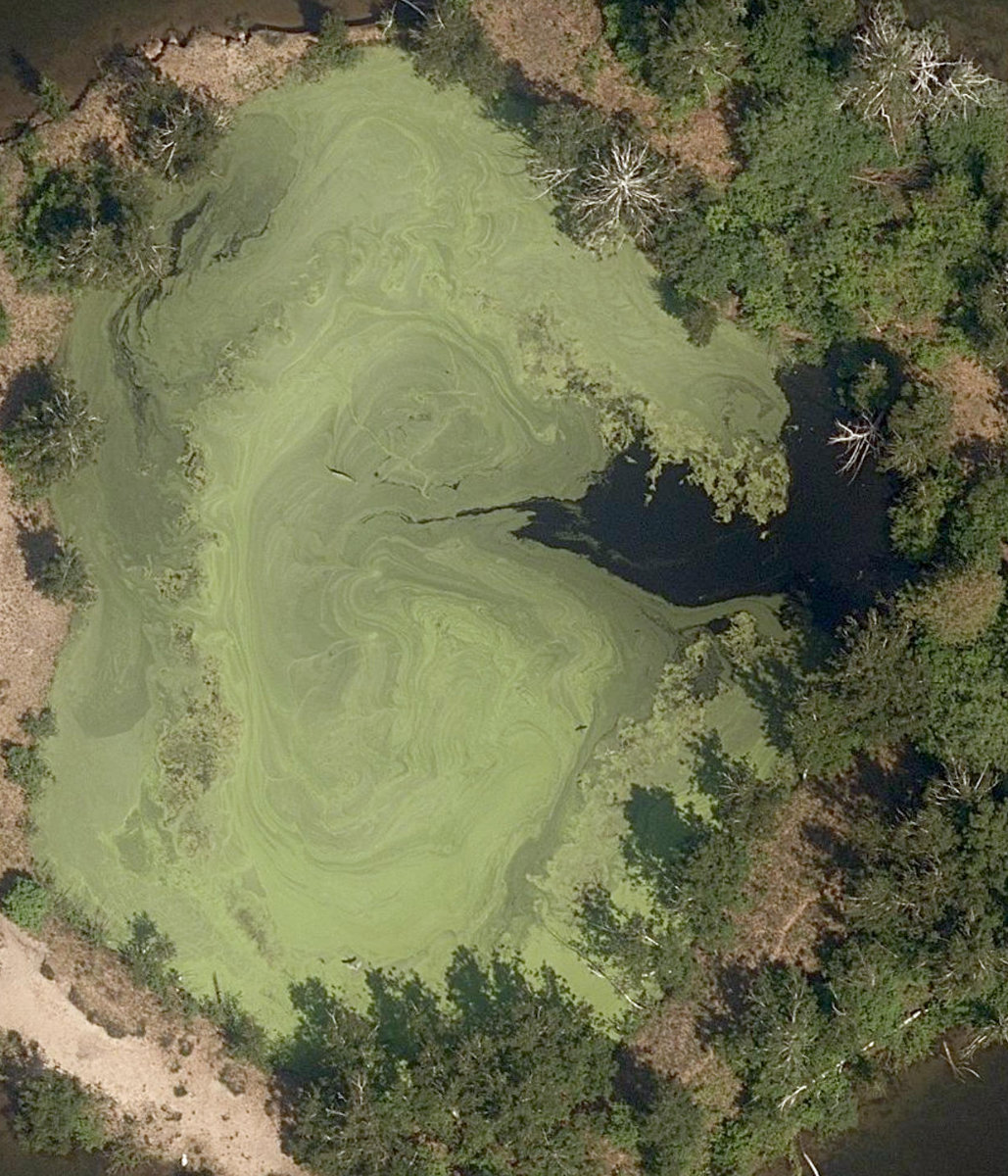 Toronto Islands - Island Park — site photograph