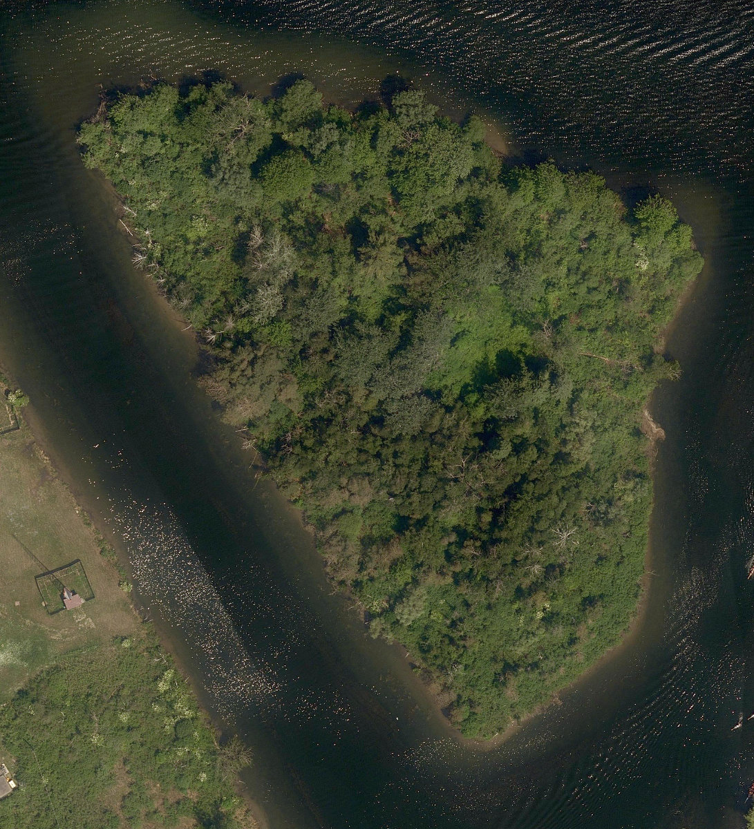 Toronto Islands - Forestry Island Park — site photograph
