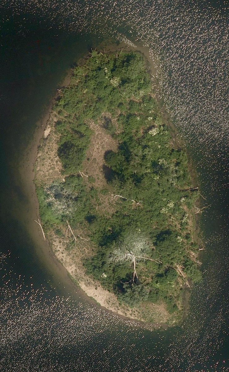 Toronto Islands - Island Park — site photograph