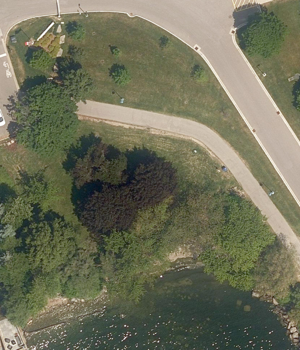Colonel Samuel Smith Park — site photograph