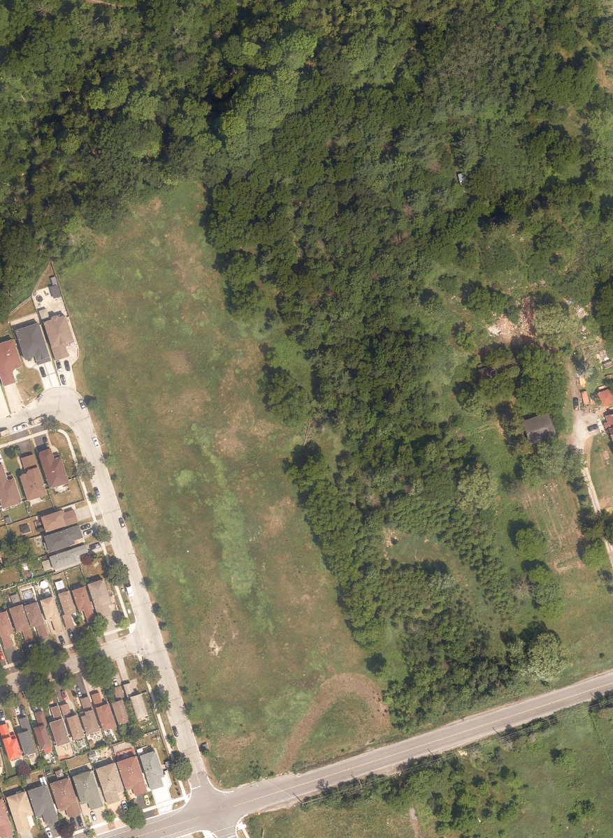 Rouge Park — site photograph
