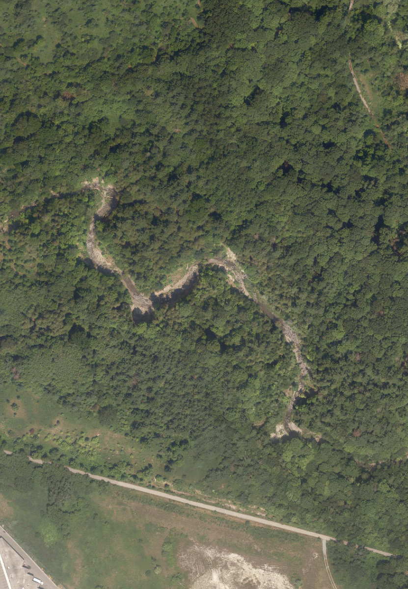 Rouge Park — site photograph
