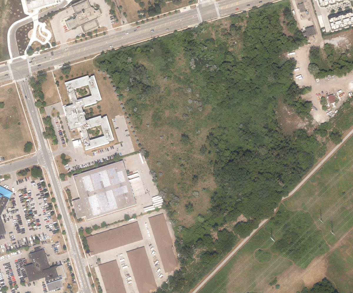 City Wide Open Space — site photograph