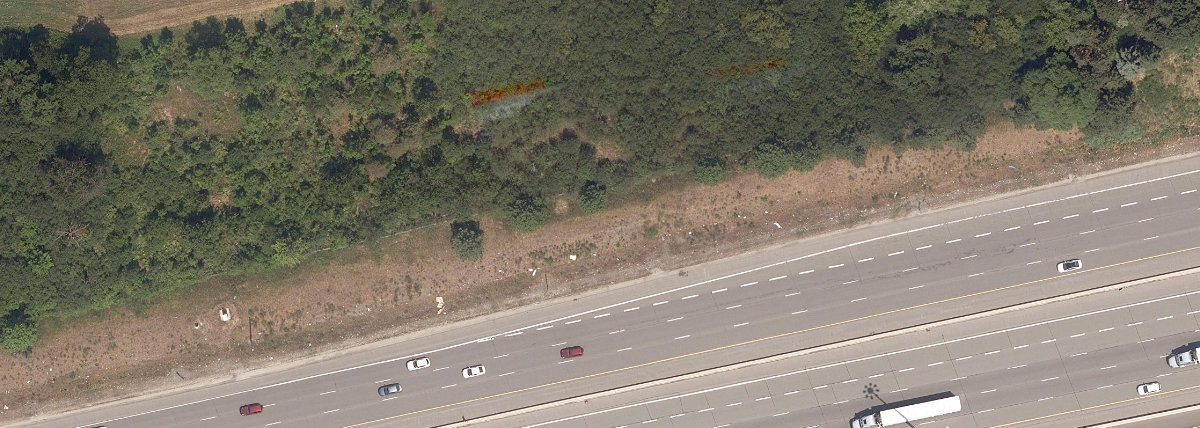 City Wide Open Space — site photograph
